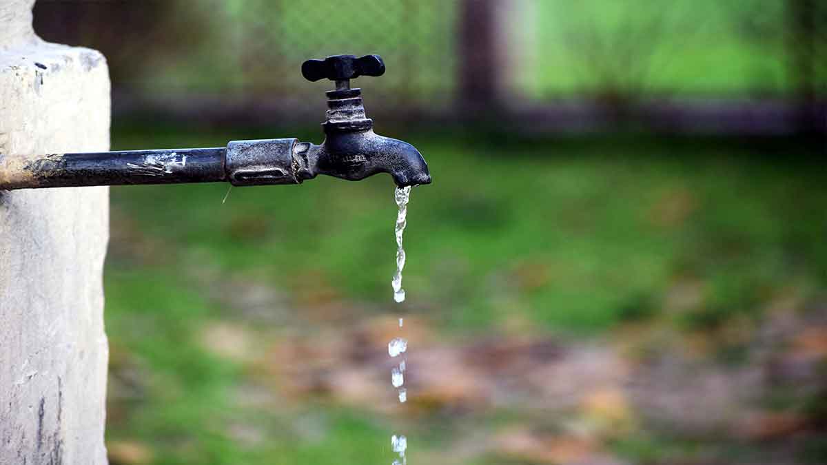 Water filter maintenance guide